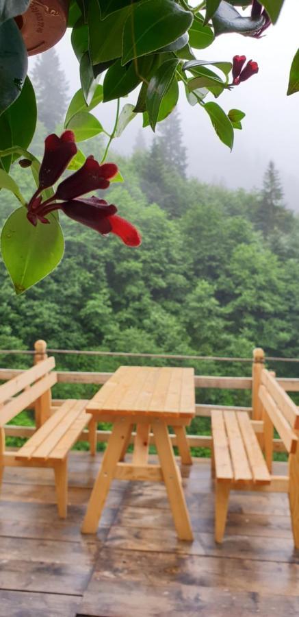 Serinyer Dag Evi Ayder Yaylasi Bagian luar foto